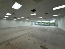 Kallang Way 2a (D13), Factory #473990901